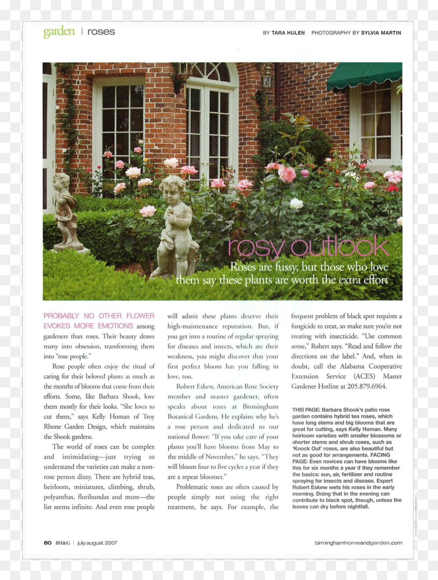 Rose Garden And Rose Gardens - Yard, HD Png Download - rose falling png