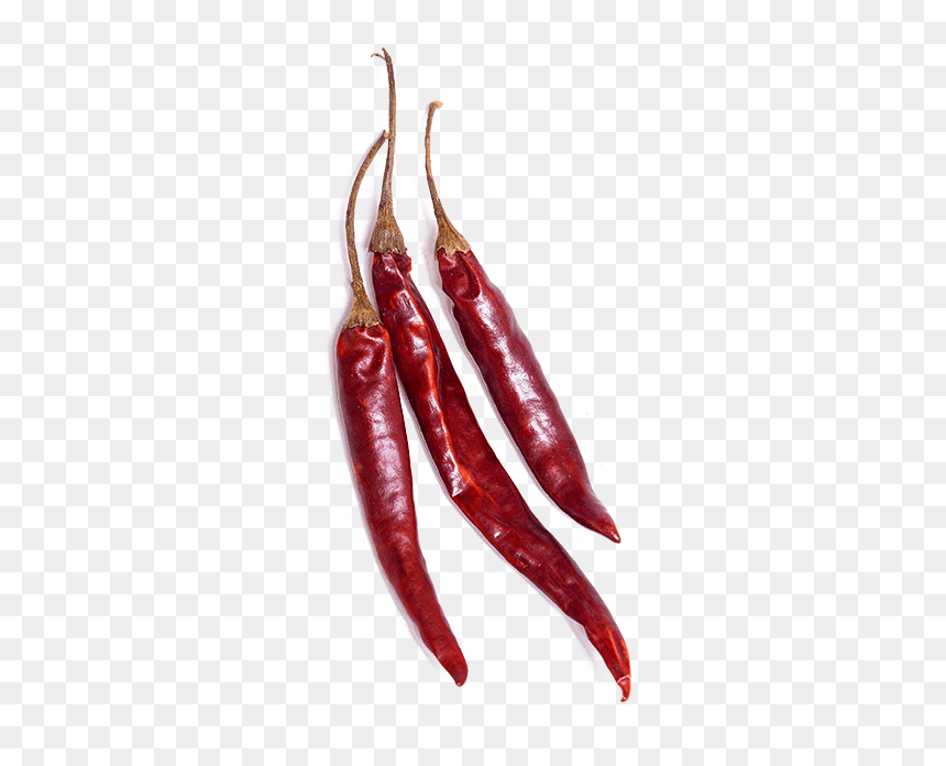 Chile De Arbol 3 - Arbol Pepper, HD Png Download - chili icon png