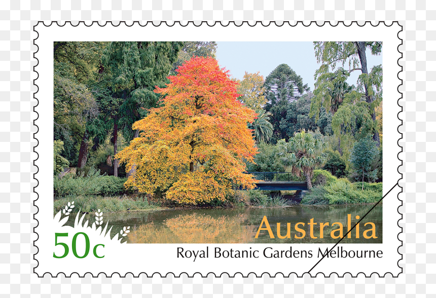 Australian Stamps, HD Png Download - winner stamp png