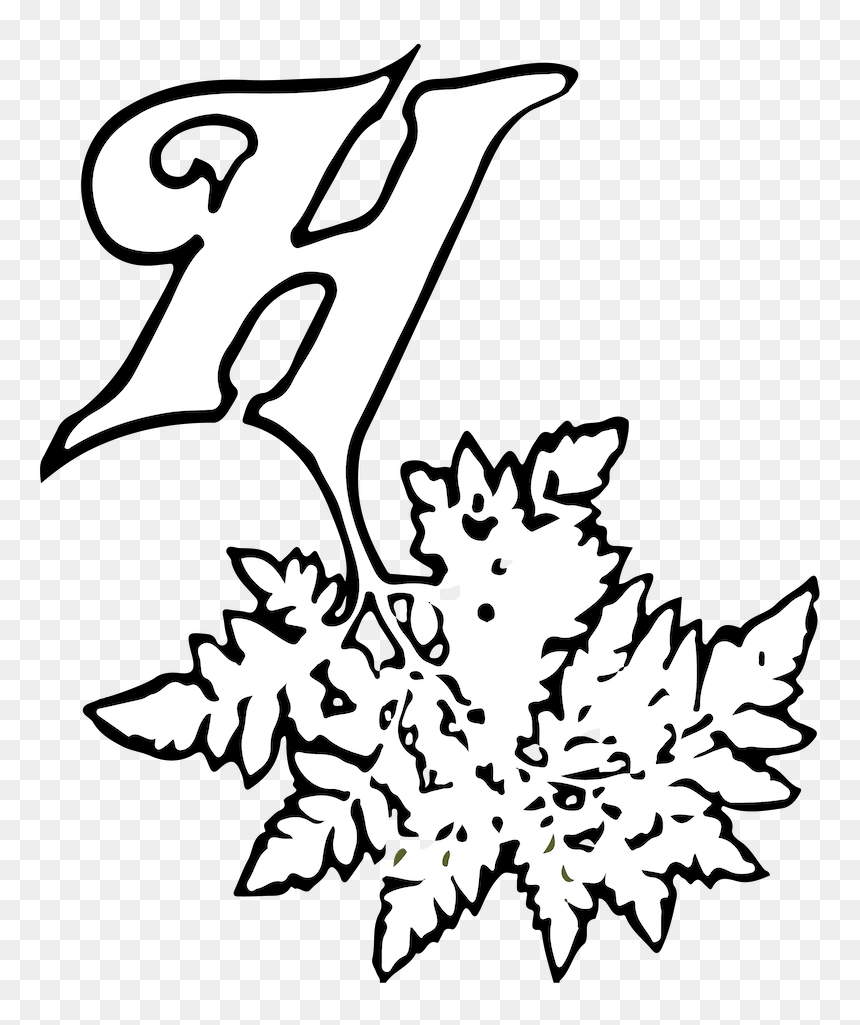 Illustration, HD Png Download - design black and white art flower png