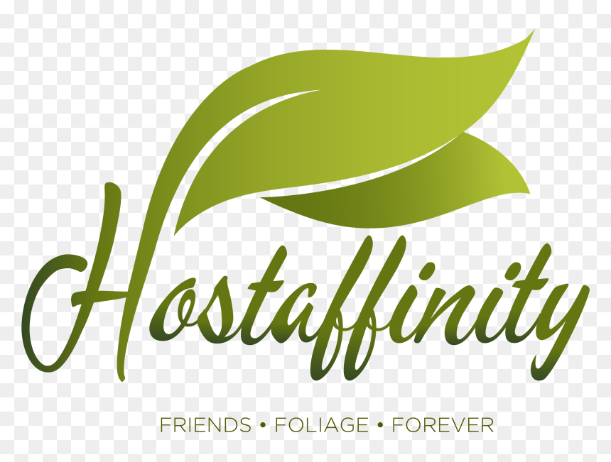 Calligraphy, HD Png Download - friends forever png text