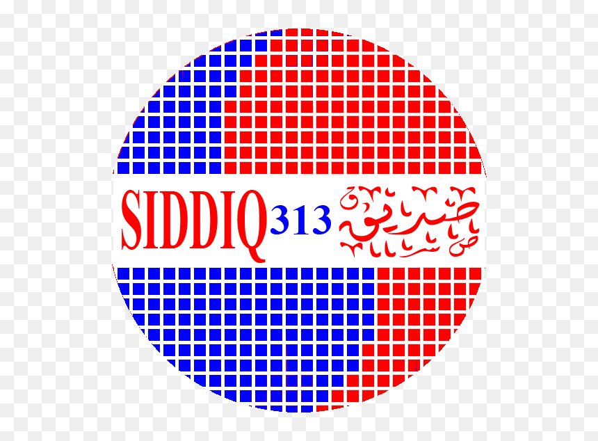 Siddiq313 Logo New 002 - Harley Quinn Circle Favor Tags, HD Png Download - raees png