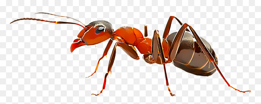 Ant And Eagle Story, HD Png Download - fire dust png
