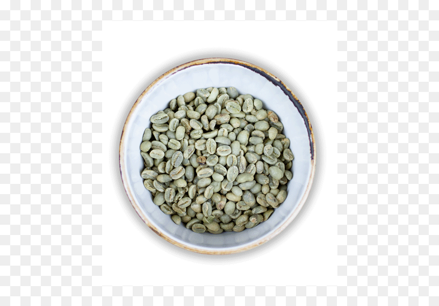 Seed, HD Png Download - green coffee bean png