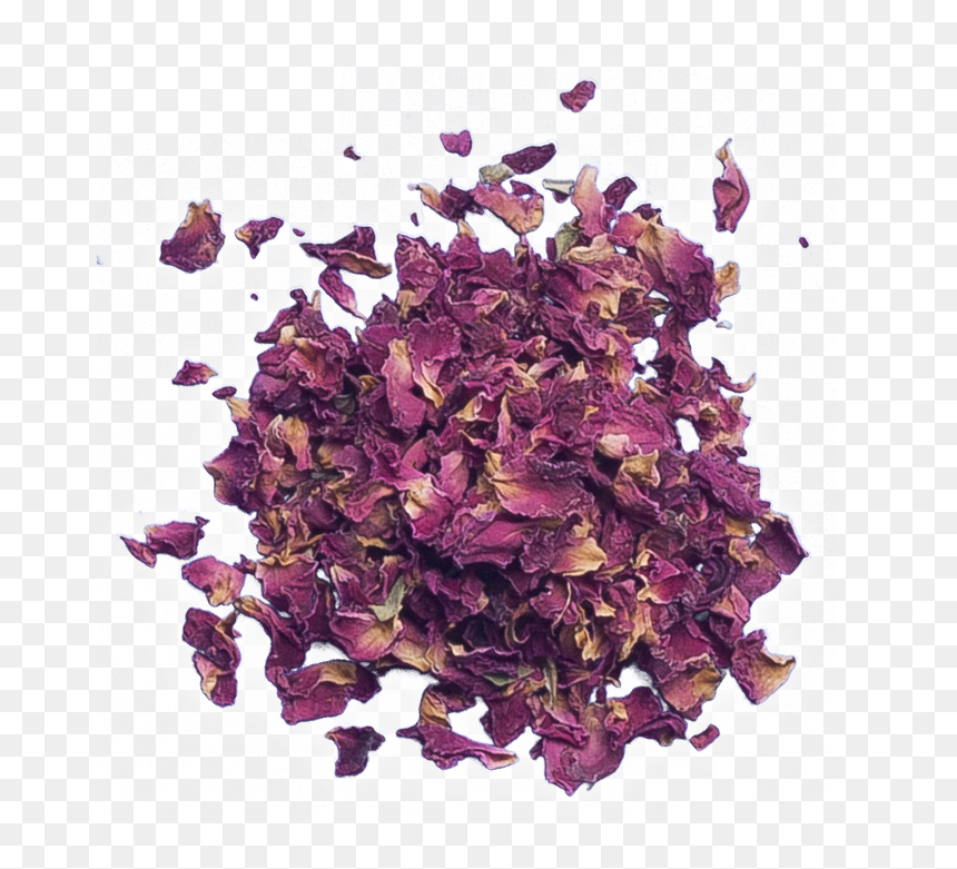 Rose Petals Png Images, Transparent Png - rose petals png images