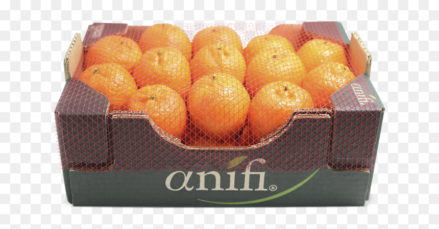 Valencia Orange, HD Png Download - jamun fruit png