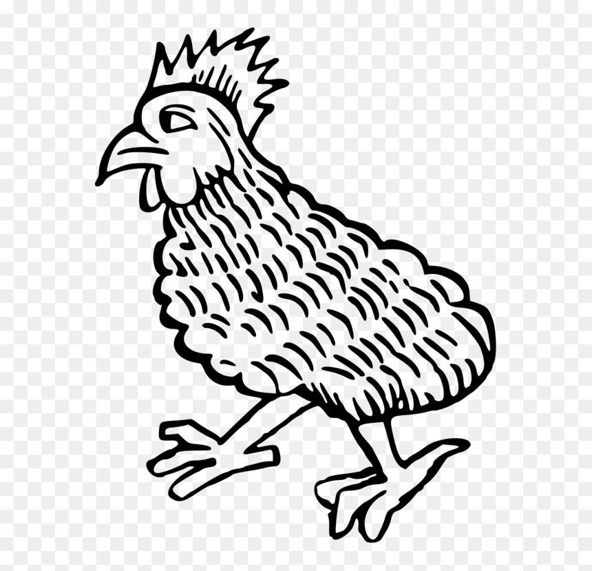 Art,fowl,beak - Medieval Chicken Drawing, HD Png Download - hen clipart png