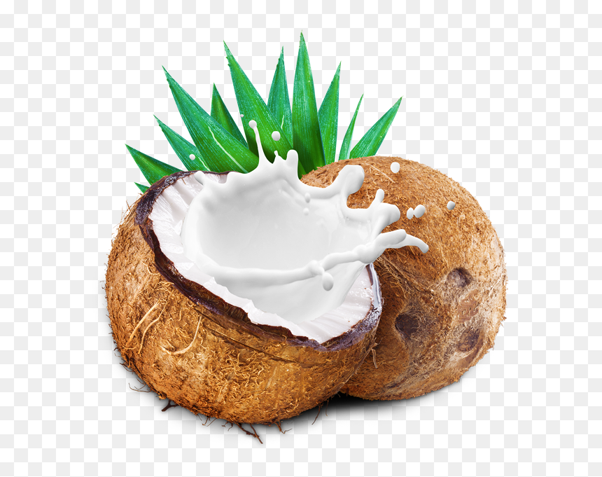 Transparent Milk Splash Png - Coconut Milk Splash Png, Png Download - cream splash png