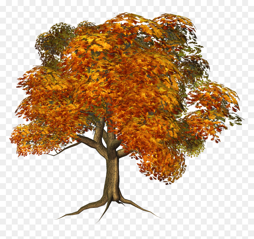 Fall Tree Large Clipart Gallery High-quality Transparent - Fall Tree Transparent Png, Png Download - image gallery png