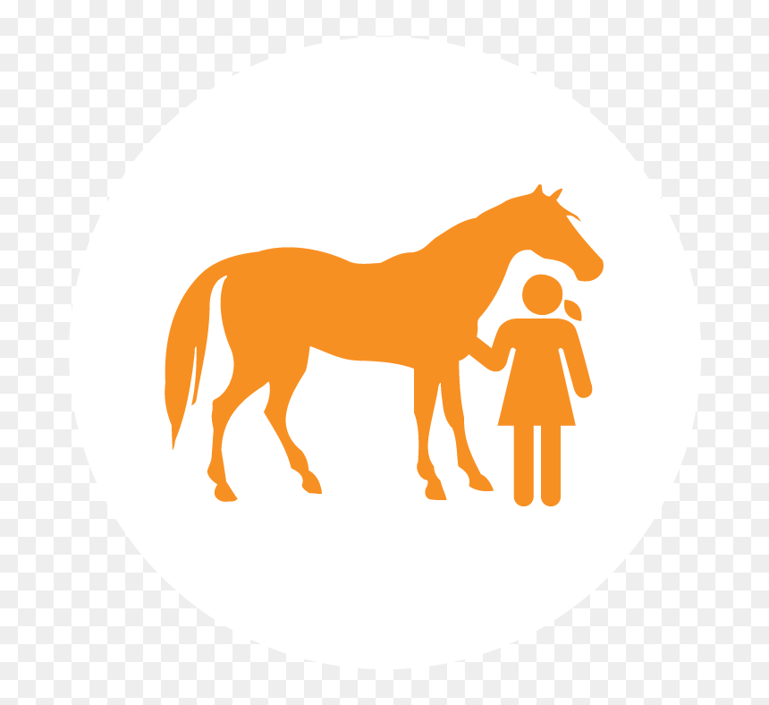Transparent Horse Icon Png - Small Horse Silhouette, Png Download - small girl png
