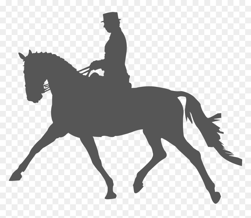 Horse Equestrianism Dressage Silhouette Clip Art - Horse Silhouette, HD Png Download - horse riding png