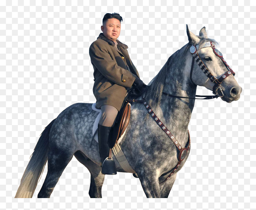 Person Sitting On Horse, HD Png Download - horse riding png