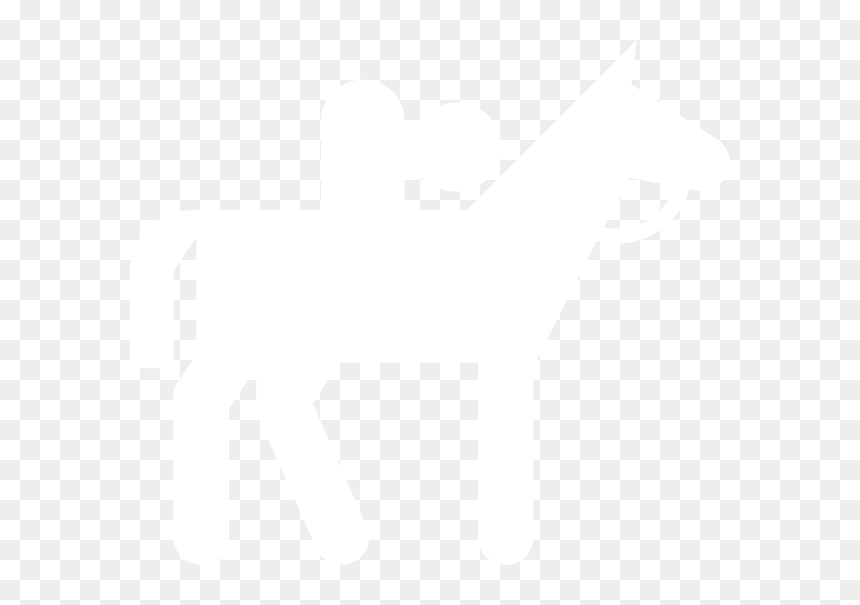 Horseback Riding Icon Png, Transparent Png - horse riding png
