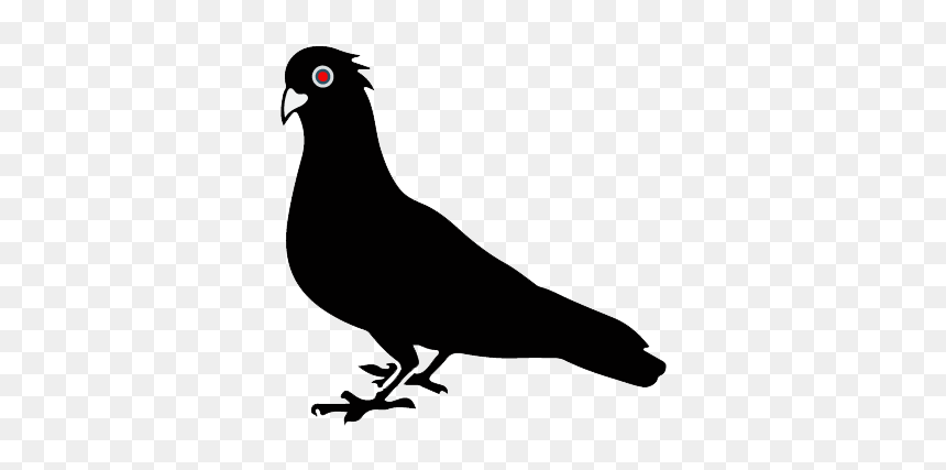 Illustration, HD Png Download - birds .png