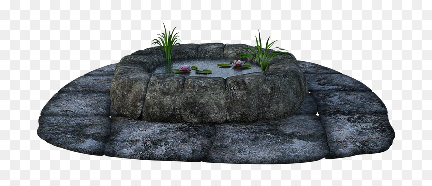 Stone, Pond, Grass, Water, Lily Pads, Fish, Wishing - Outcrop, HD Png Download - water grass png