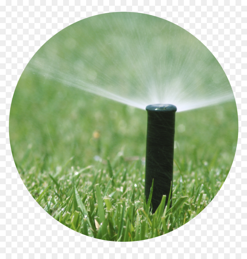 Irrigation Head - Smart Irrigation, HD Png Download - water grass png