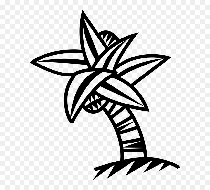 Vector Illustration Of Arecaceae Palm Tree With Coconuts - Coconut, HD Png Download - coconut palm tree png