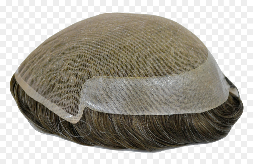 Indian Human Hair Wigs - Wig, HD Png Download - wigs for men png