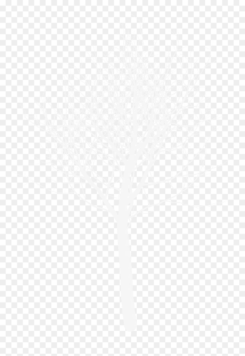 Darkness, HD Png Download - 3d trees png