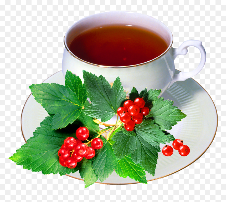 Harbal Tea With Cup - Tea Png, Transparent Png - tea png image
