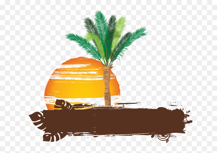 Date-palm - Palm Tree In Design, HD Png Download - date tree png