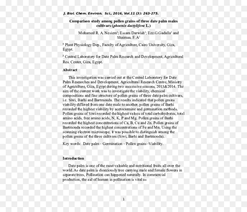 Document, HD Png Download - date tree png