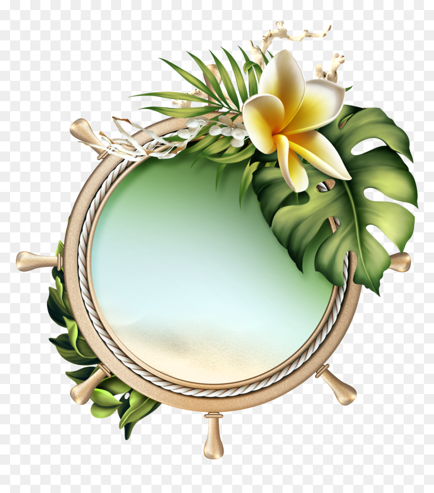 Back To Tropics Framed Wallpaper, Flower Clipart, Borders - Moonbeam's Back To The Tropics 2d, HD Png Download - clip art borders png