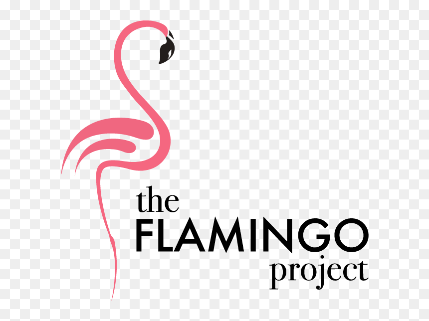 Transparent Flamingo Png - Greater Flamingo, Png Download - color full png