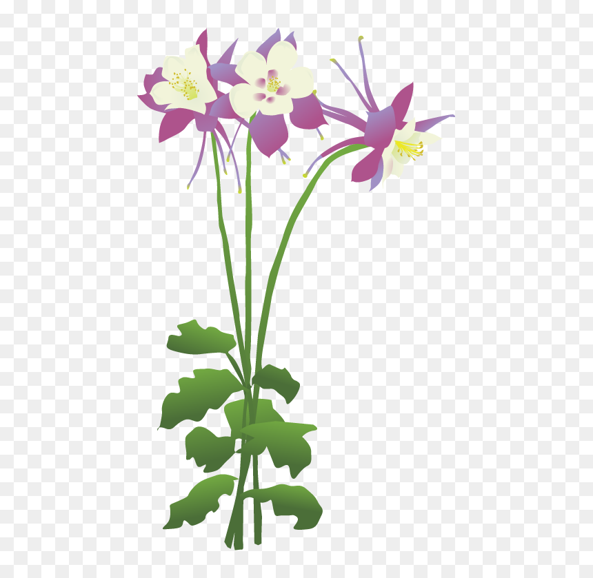 Columbine Flower Trees Png Clipart , Png Download - Columbine Flower Png Transparent, Png Download - treespng