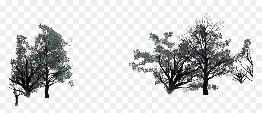 Oak, HD Png Download - lite png