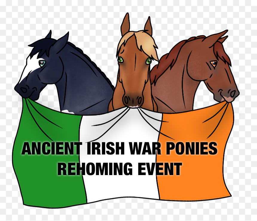 Ancient Irish War Ponies "rehoming Event - Sorrel, HD Png Download - ponies png
