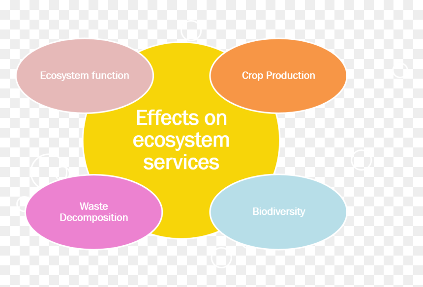 Wp4 - Effects Of Ecosystem Services, HD Png Download - latest png effects