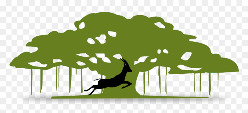 Equirus Capital, HD Png Download - banyan png