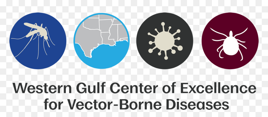 Western Gulf Center Of Excellence For Vector-borne - Funding Vector Borne Disease, HD Png Download - building vectors png