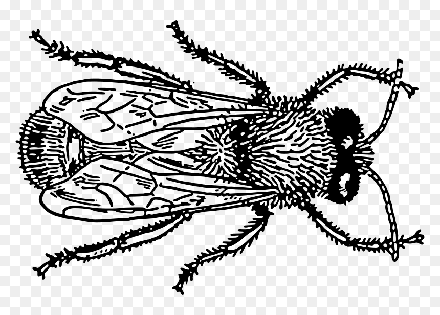 Drone 1 - Bug Draw Png, Transparent Png - drone vector png