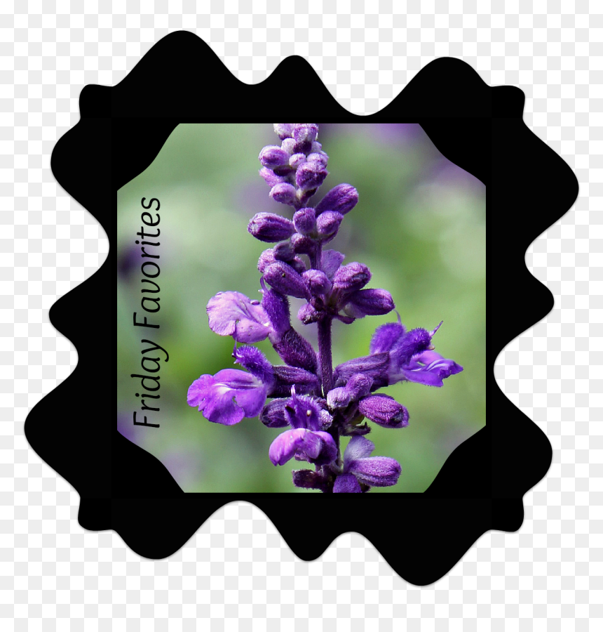 Img 7639 Ff - Lupin, HD Png Download - five guys png