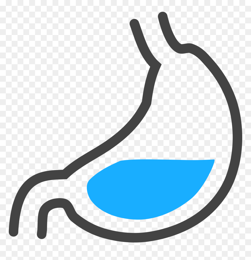 Png Images Stomach Id 21722 Water In Stomach - Stomach Acid Clipart, Transparent Png - water monster png
