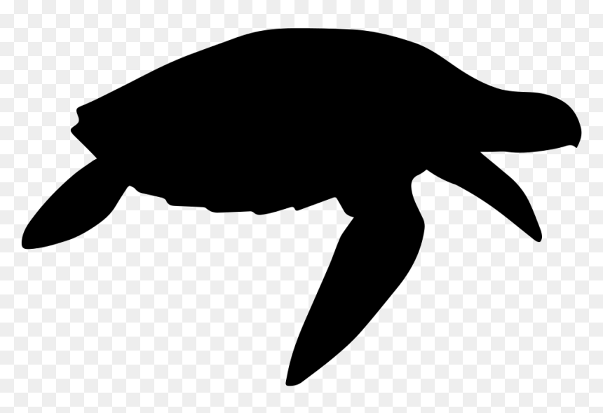 Turtle Silhouette No Background, HD Png Download - turtle icon png