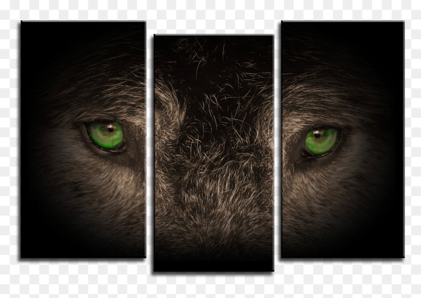 Wolf On 3 Panel Canvas, HD Png Download - wolf print png