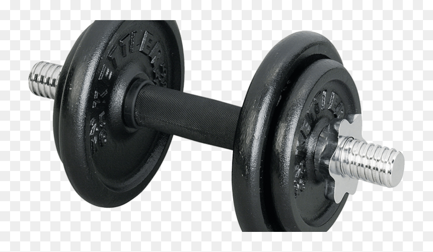 Index Of Wp Content - Kettler Dumbbell, HD Png Download - weight bar png