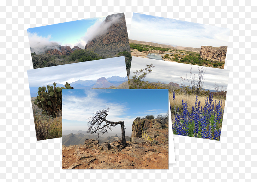 Collage, HD Png Download - notecard png