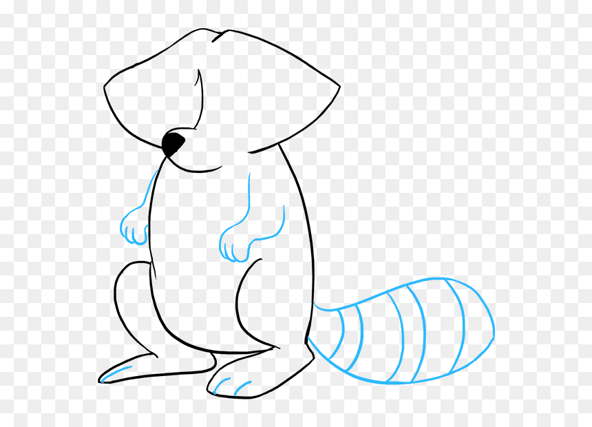 How To Draw A Raccoon, HD Png Download - woodland png