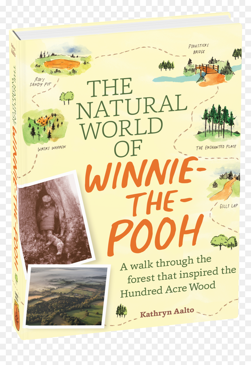 Cover - Flyer, HD Png Download - classic winnie the pooh png