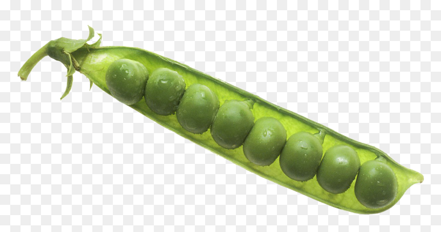 Pea Png -pea Png Image Background - Peas In Pod, Transparent Png - comic book explosion background png