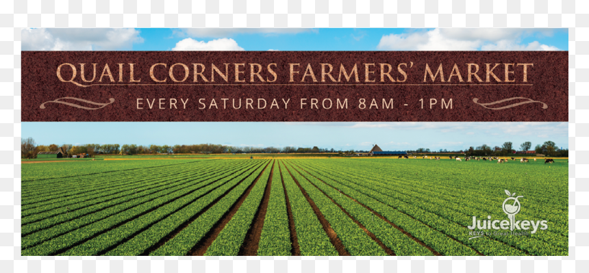 Juicekeys Banner Graphic Design - Field, HD Png Download - banner graphic png