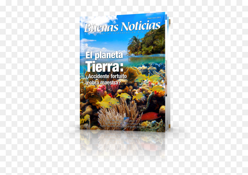 Lasbn Mayo Junio - Flyer, HD Png Download - planeta tierra png