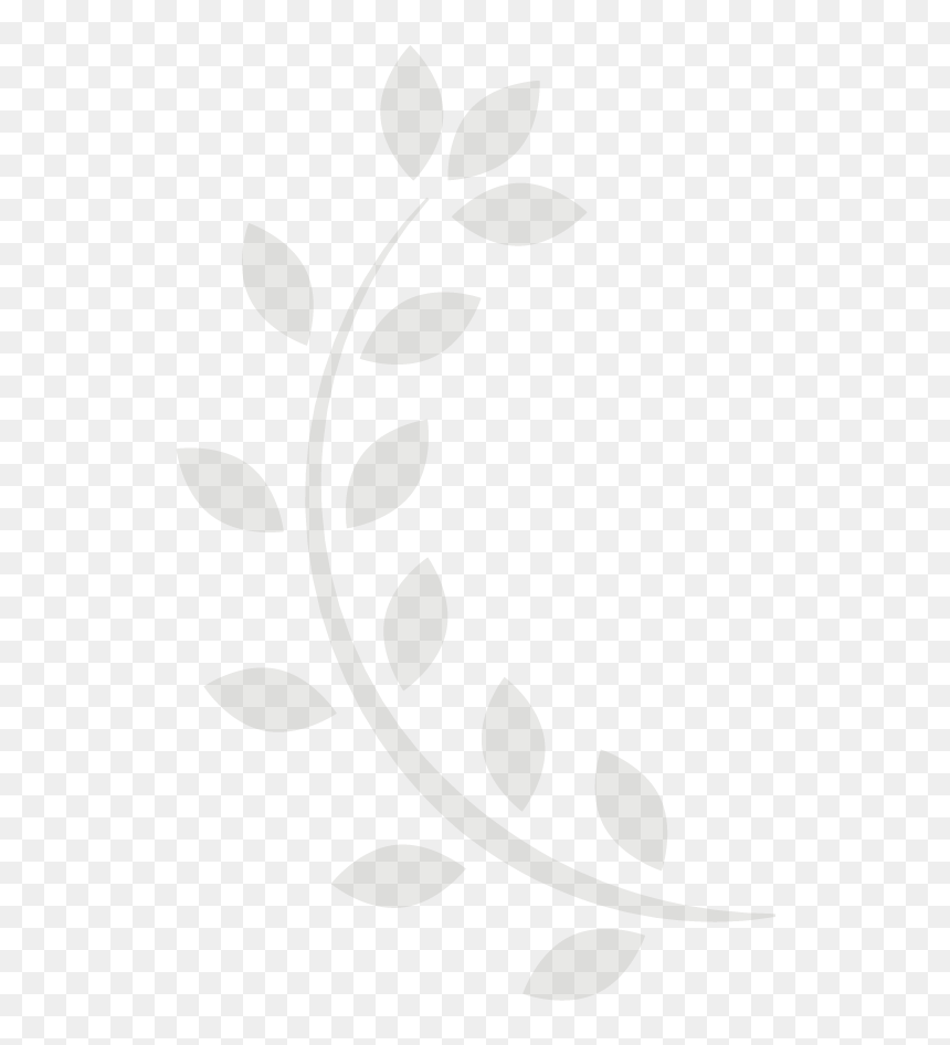 Circle, HD Png Download - laureles png