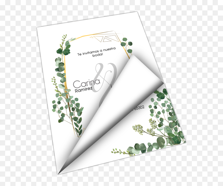 Paper, HD Png Download - nuestra boda png