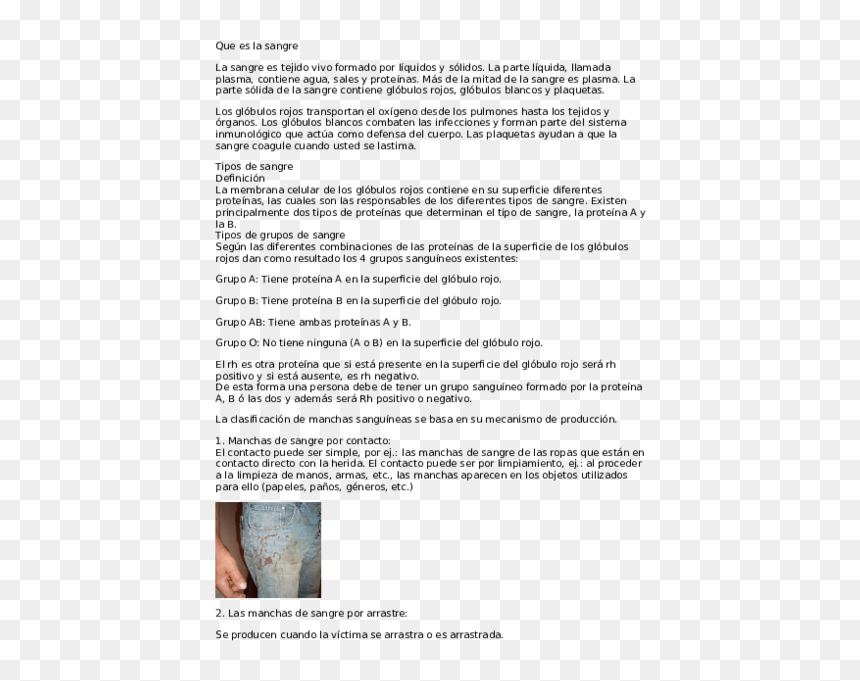 Document, HD Png Download - manchas de sangre png