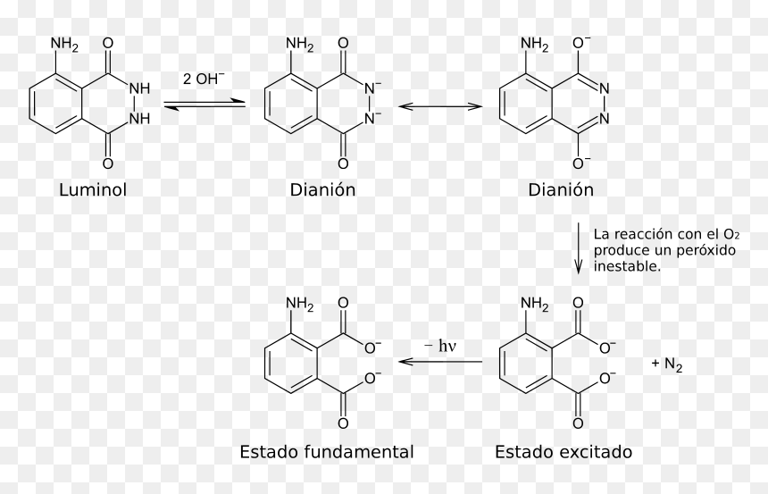 Reacciones-luminol - Svg - Oxidation Von Luminol, HD Png Download - manchas de sangre png